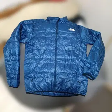 THE NORTH FACE 다운 자켓 블루