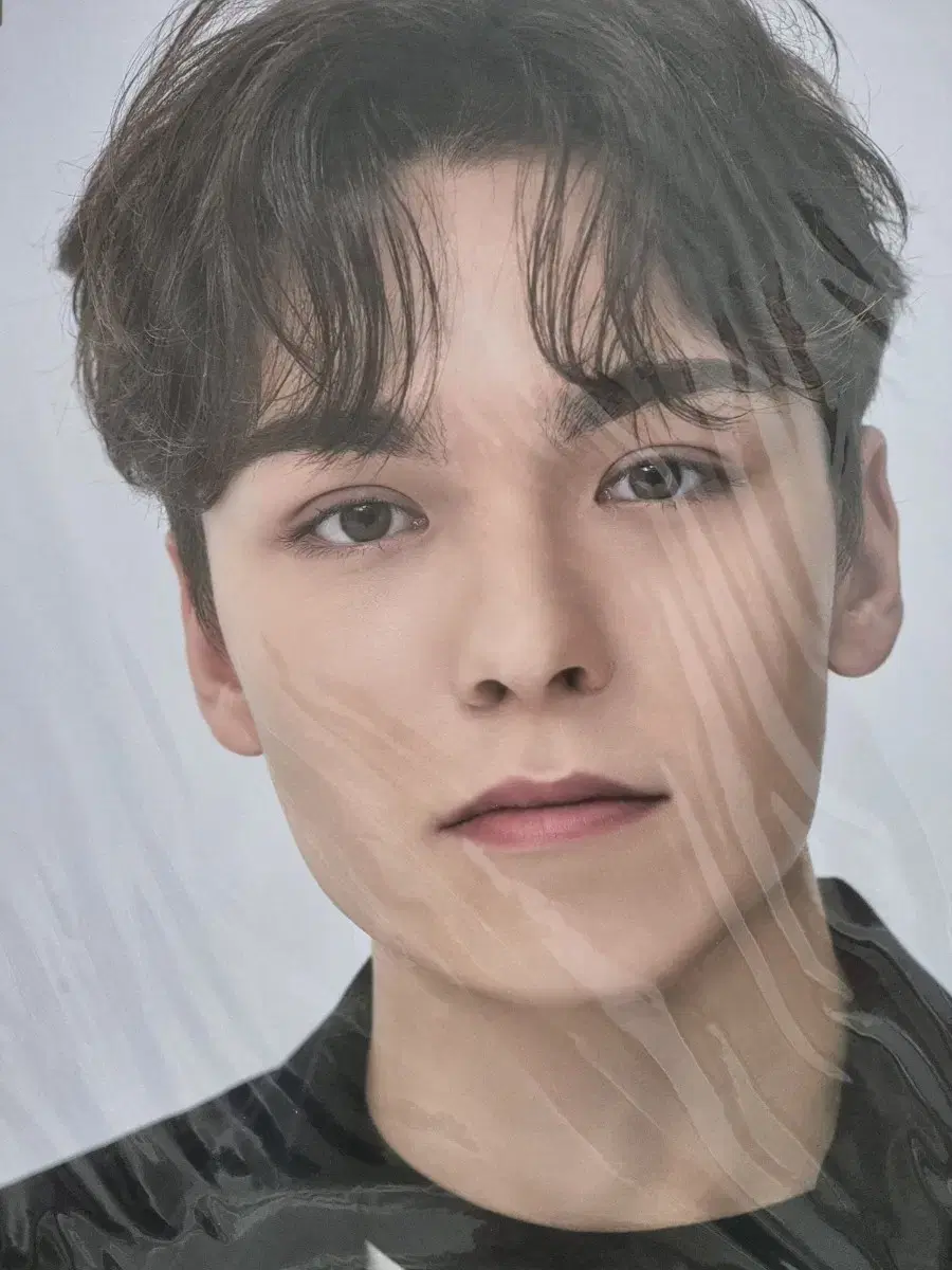 Seventeen Vernon 2021 Caratland Premium Photo wts