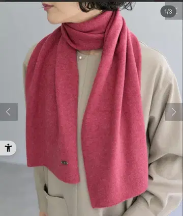 스톨 이아파피요네