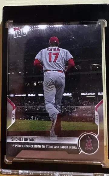 오타니 쇼헤이 위업 달성, 베이브 루스 이후 100년 만에 홈런 수 1위