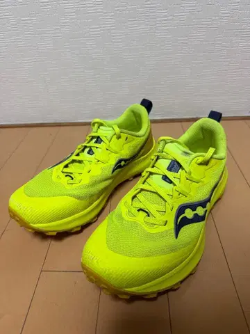 Saucony 페레그린14 PEREGRINE 14 CITRON/OAK