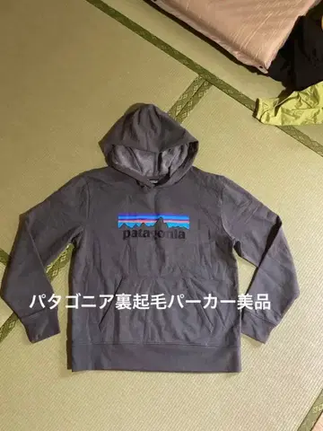 파타고니아 속기모 후드티 새상품급