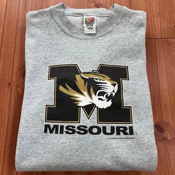 90s USA제 베스티 프룻 오브 더 룸 맨투맨 그레이 3XL