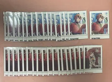 니시조노 렌가 파샤코레