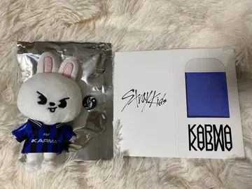 KARMA 리비트 skzoo