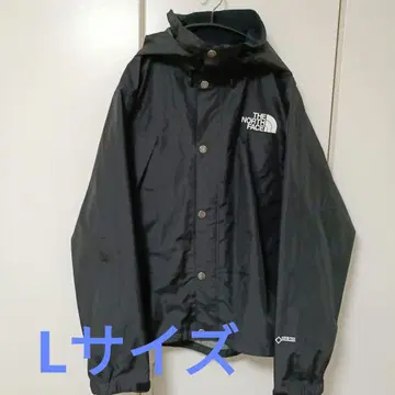 THE NORTH FACE 고어텍스 블랙