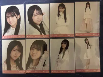 노기자카46 생사진 신참자 8종 컴프 6기생 special 세토구치 심월