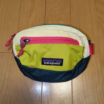 patagonia 테라비아 미니 힙색 1L
