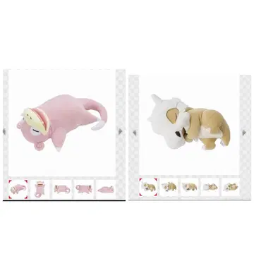 포켓몬 센터 포켓몬 슬립 쓰리 봉제 인형 야돈 카라카라