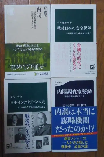안전 보장, 인텔리전스 주코 신서, 치쿠마 신서, 분슌 신서