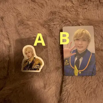 낱개 판매 가능 팬더 드래곤 요타 DDP 트레이딩 카드 하피카 씰