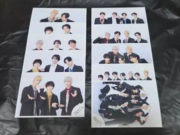 에비라이 2025 원인은 자신에게 퍼그. 10장 세트