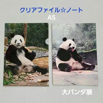 클리어 파일 노트 샹샹 대팬더전