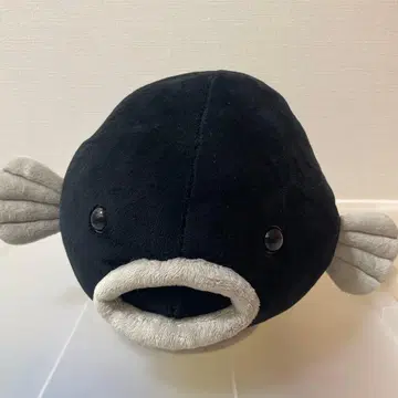 GOKKO 봉제 인형 하코다테산 고코