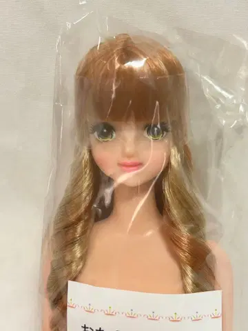 리카짱 캐슬 오타노시미 인형 타마키