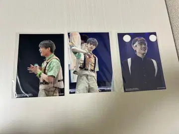 한다 타츠오미 브로마이드 BOT