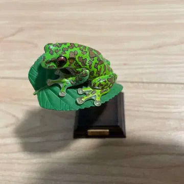 네이처 테크니컬러 모리 아오가엘