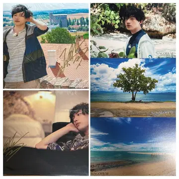 와고 신이치 사진 작품전 WAGOFILM 사인 포함 A4 브로마이드 엽서