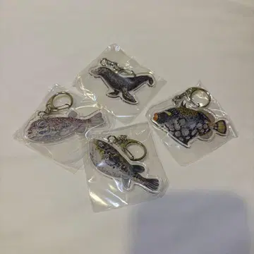 평면 수족관 해경관 한정판 4종 세트