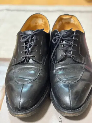 JM 웨스턴 598. 하프 헌트 더비, 정가 176,000엔 8D