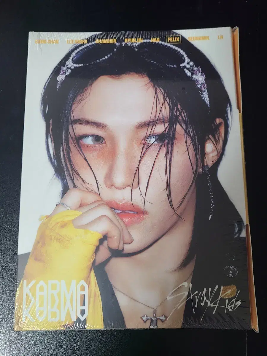 Stray Kids SKZ Karma Accordion Felix