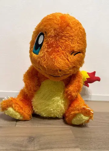 포켓몬 봉제 인형 히토카게