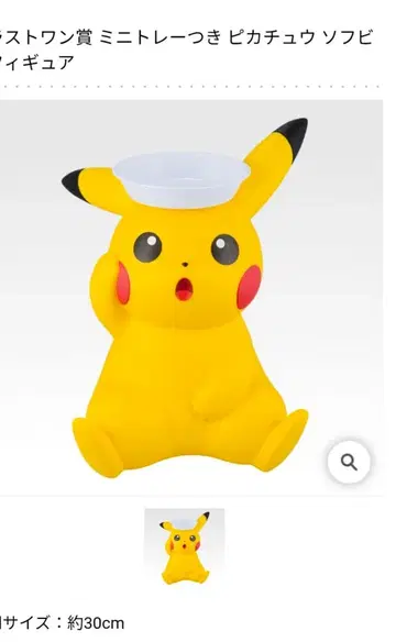 4 포켓몬 컬렉션 세트 2025년 라스트 원상!