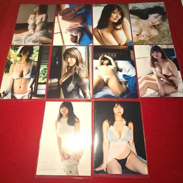 하나이 미사토 씨 L판 사진 310매 세트