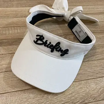 브리핑 선바이저