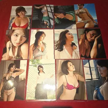 이소야마 사야카 L판 사진 212장 세트
