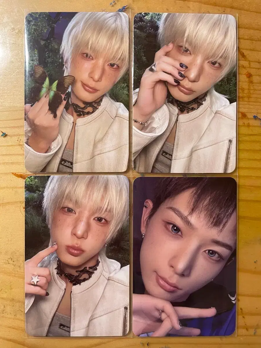 &team Harua poca bulk