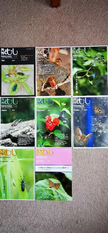 월간 무시 2019년 발간 8권 5월호~12월호