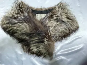 타트라스 퍼 스톨 그레이 계열