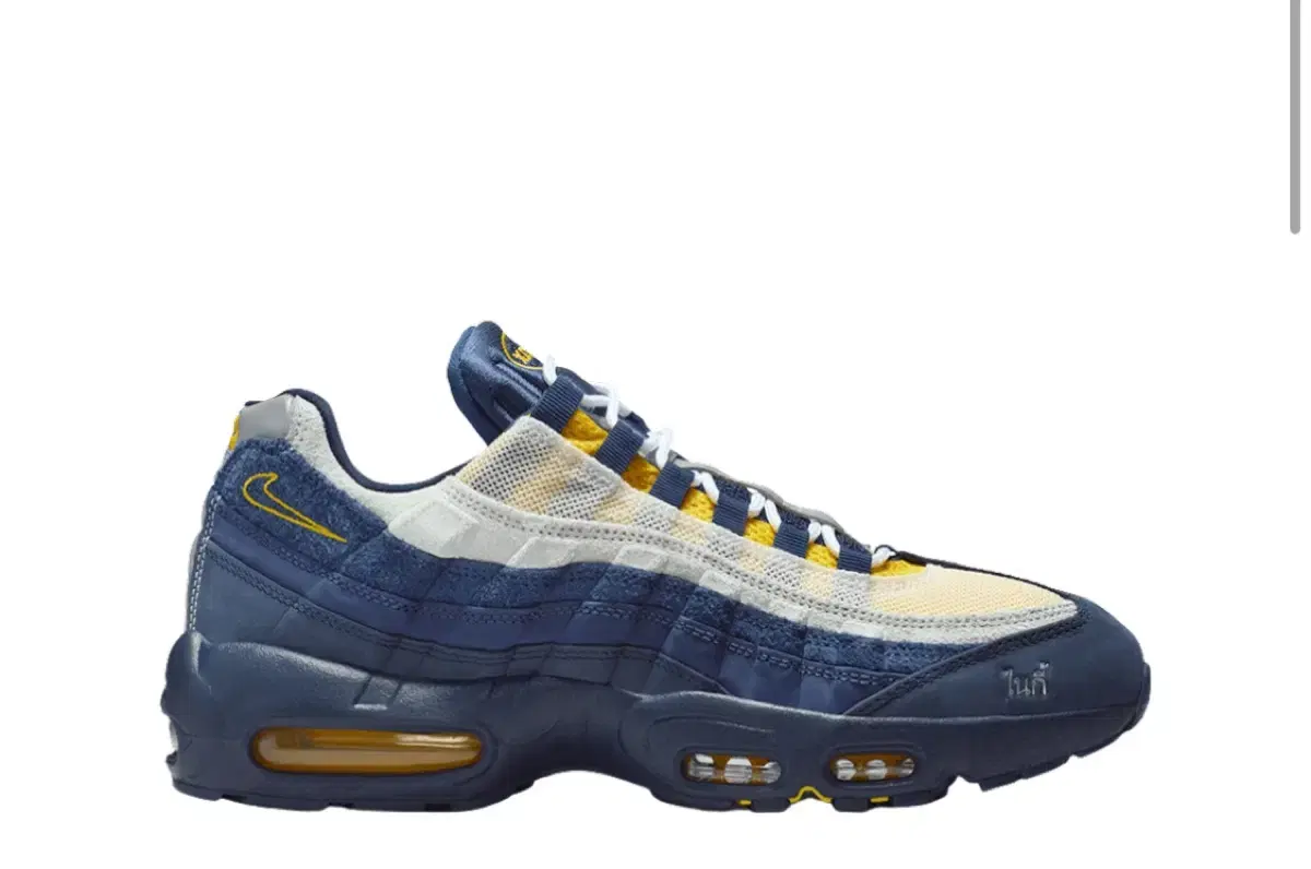 (275mm) Nike SB Air Max 95 x Eric Coston 'Obsidian and Speed