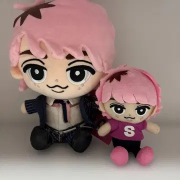 스노치루 사쿠마 다이스케 세트