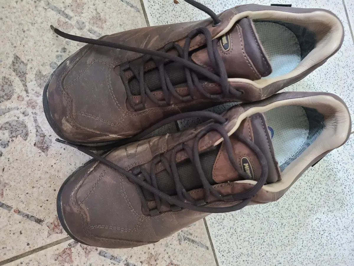 Mine Sierra GTX