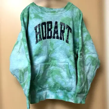 Champion 챔피온 리버스 위브 더블 페이스 타이다이 L