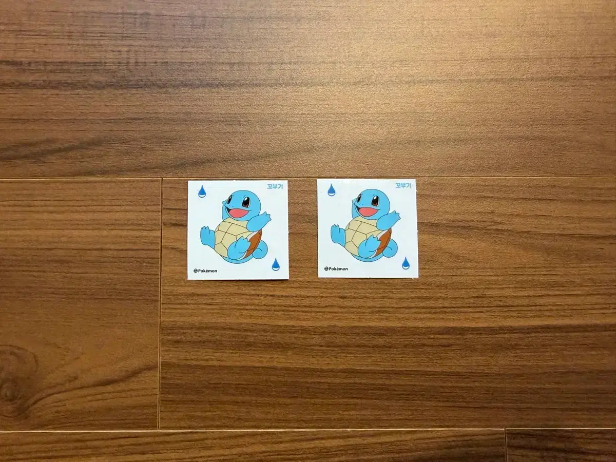 Set) Pokémon Squirtle Seal Stickers