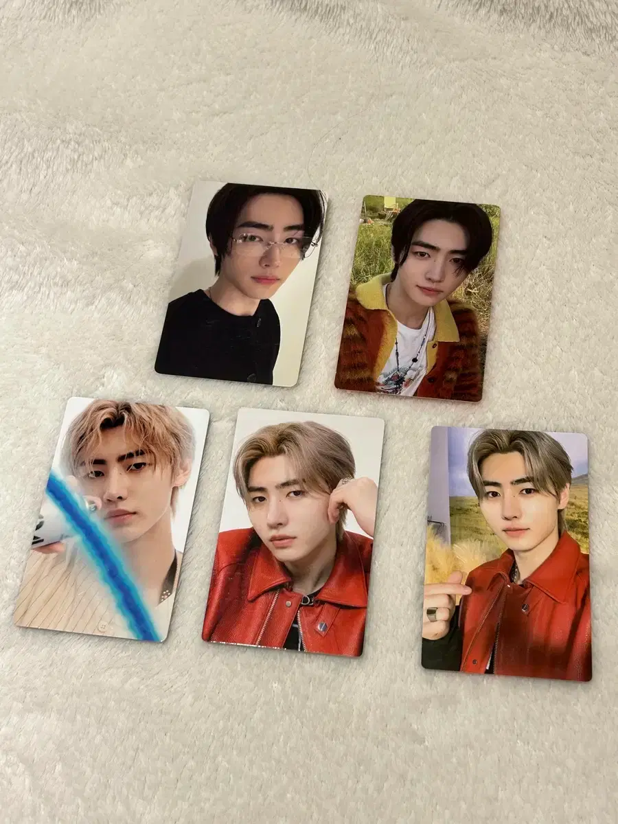 Enhypen sunghoon poca wts