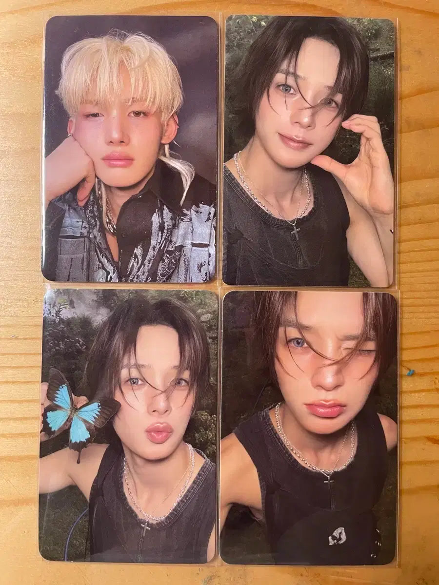 &team Jo K. poca bulk