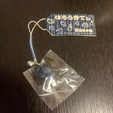 키티 네이비 나염 도서 본점