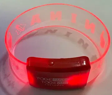 가시없는가시개미 마그넷 뱅글 울림의 시간 걸즈밴드 크라이