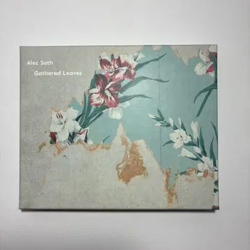 Alec Soth Gathered Leaves