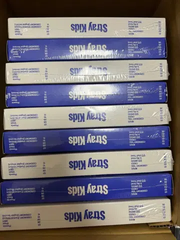 straykids 스키즈 KARMA 미개봉 9장