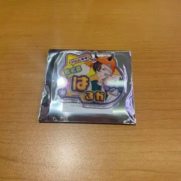 windbreaker 윈브레 사쿠라 하루카 데비 데코 이름 배지