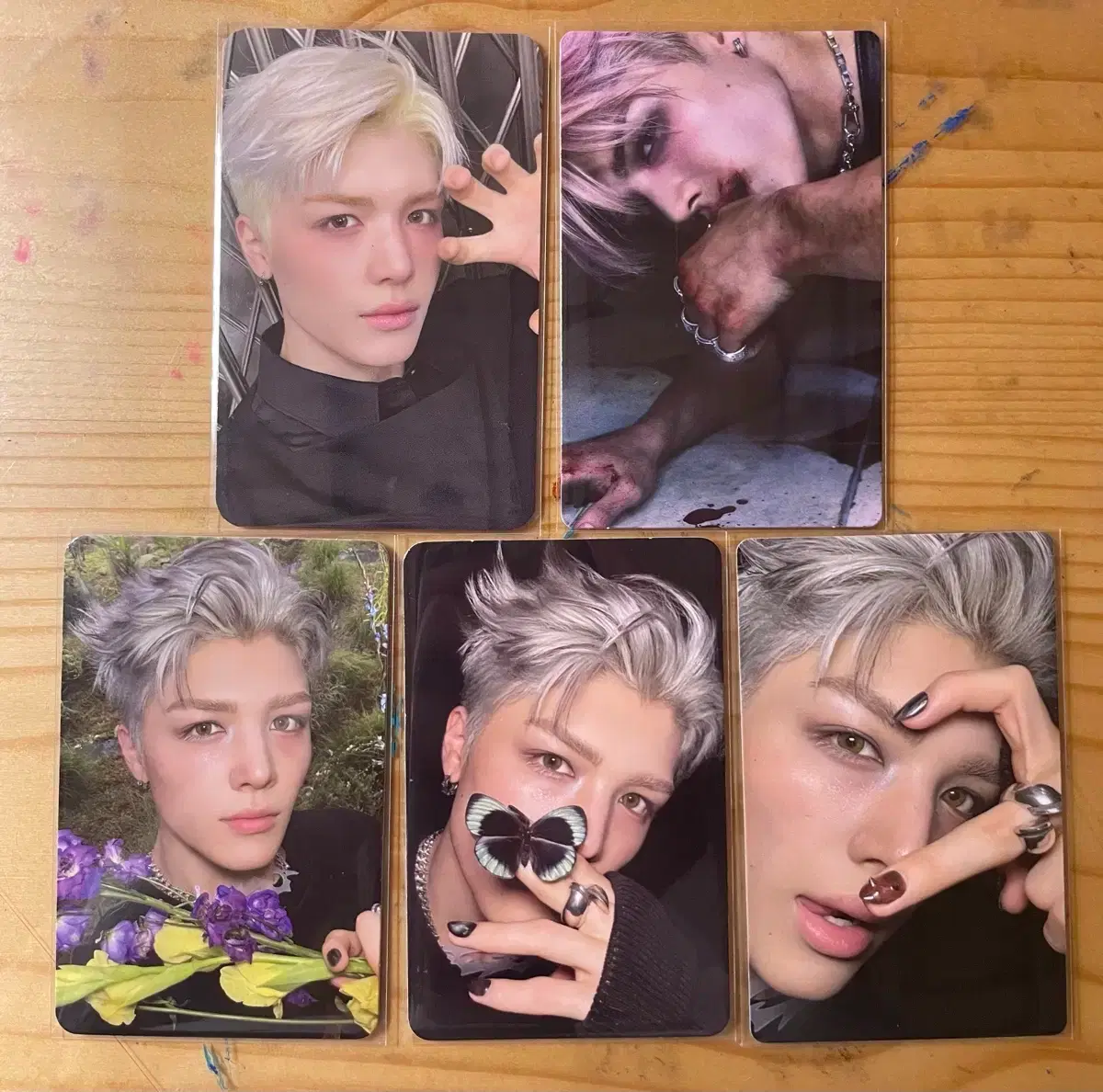 &team Maki Poca bulk