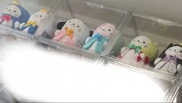 하피단부이 시로탄 봉제 인형