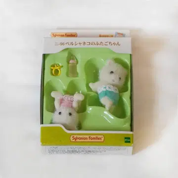 페르시안 고양이 쌍둥이 아기