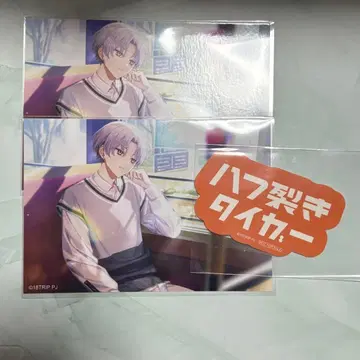 에이트리 불가 브로마이드