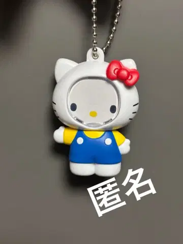 산리오 키티 사진 프레임 마스코트 키링 얼굴 끼우기 가챠